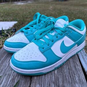 Nike Dunk Low Dusty Cactus